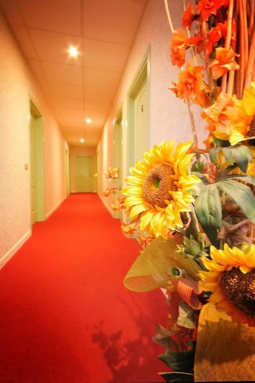 Hotel Manuela チンカレ